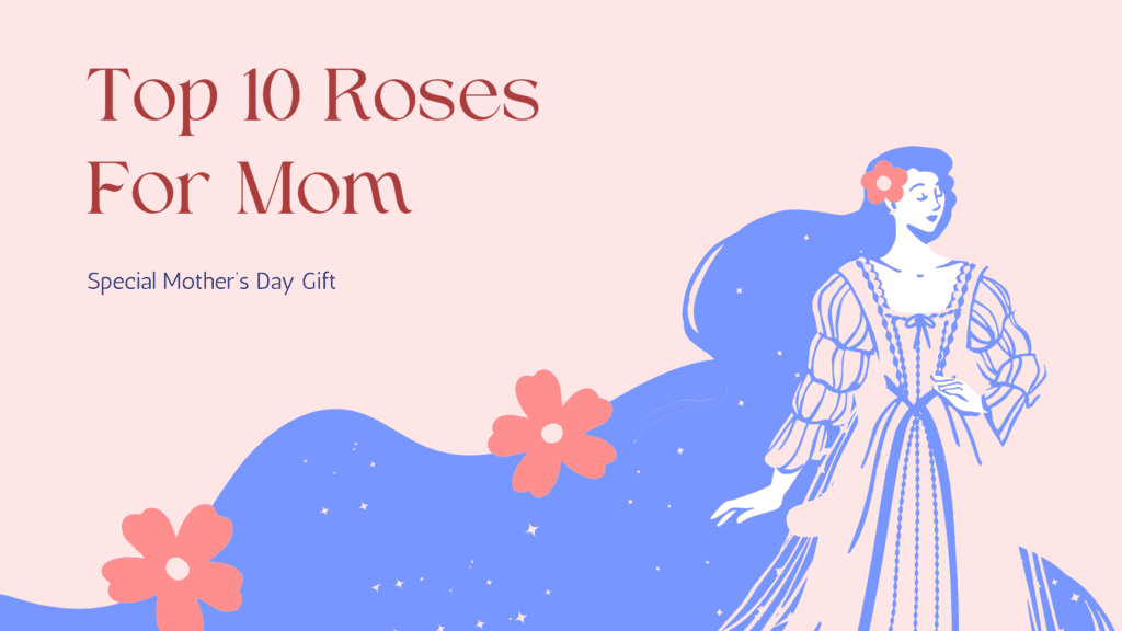 Top 10 Roses For Mom