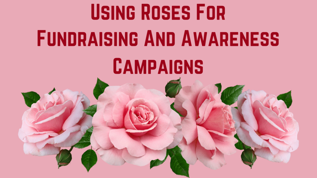 Using Roses For Fundraising And Awareness Campaigns