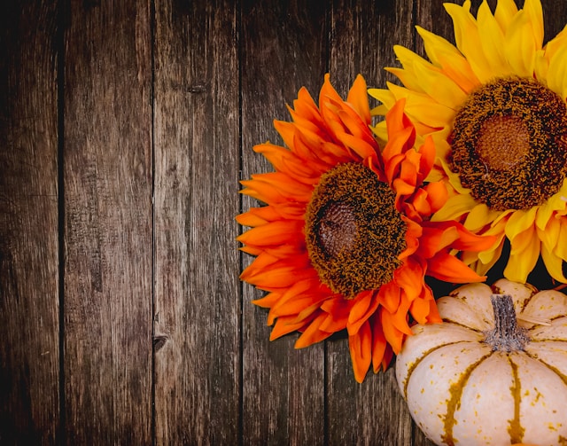 Thanksgiving Flowers