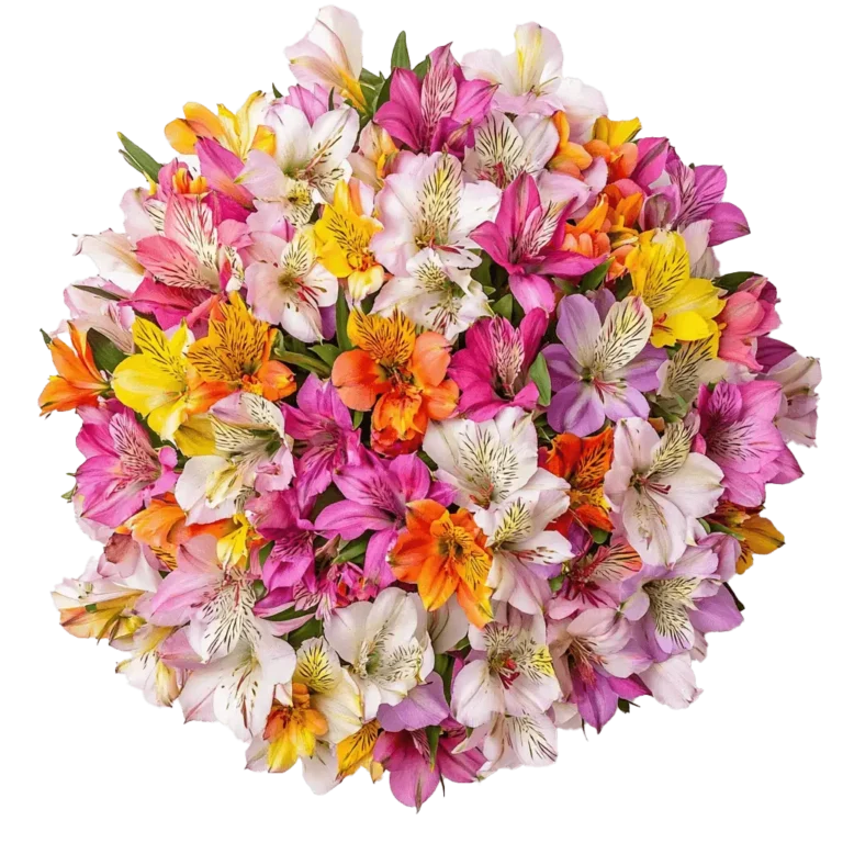 Why give your ex flowers on valentine's day