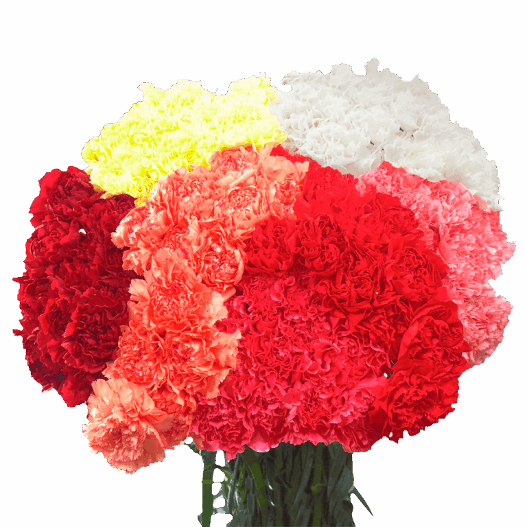 Which flower types and colors best express love for strangers?
