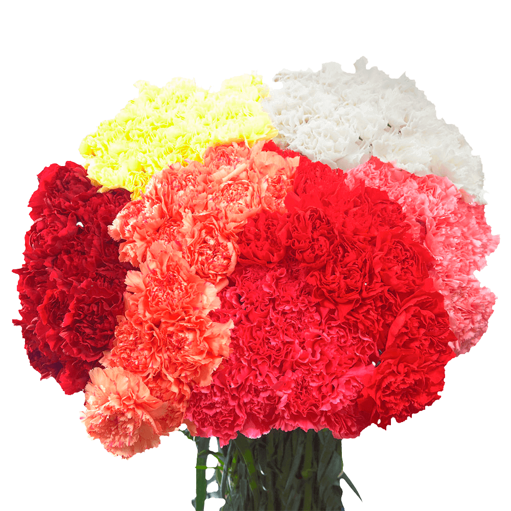 The Tried & True About Giving Strangers Flowers