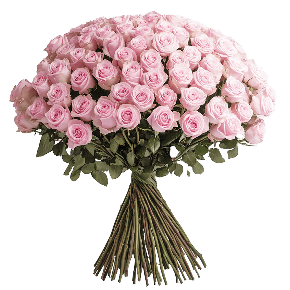 Alstroemelias