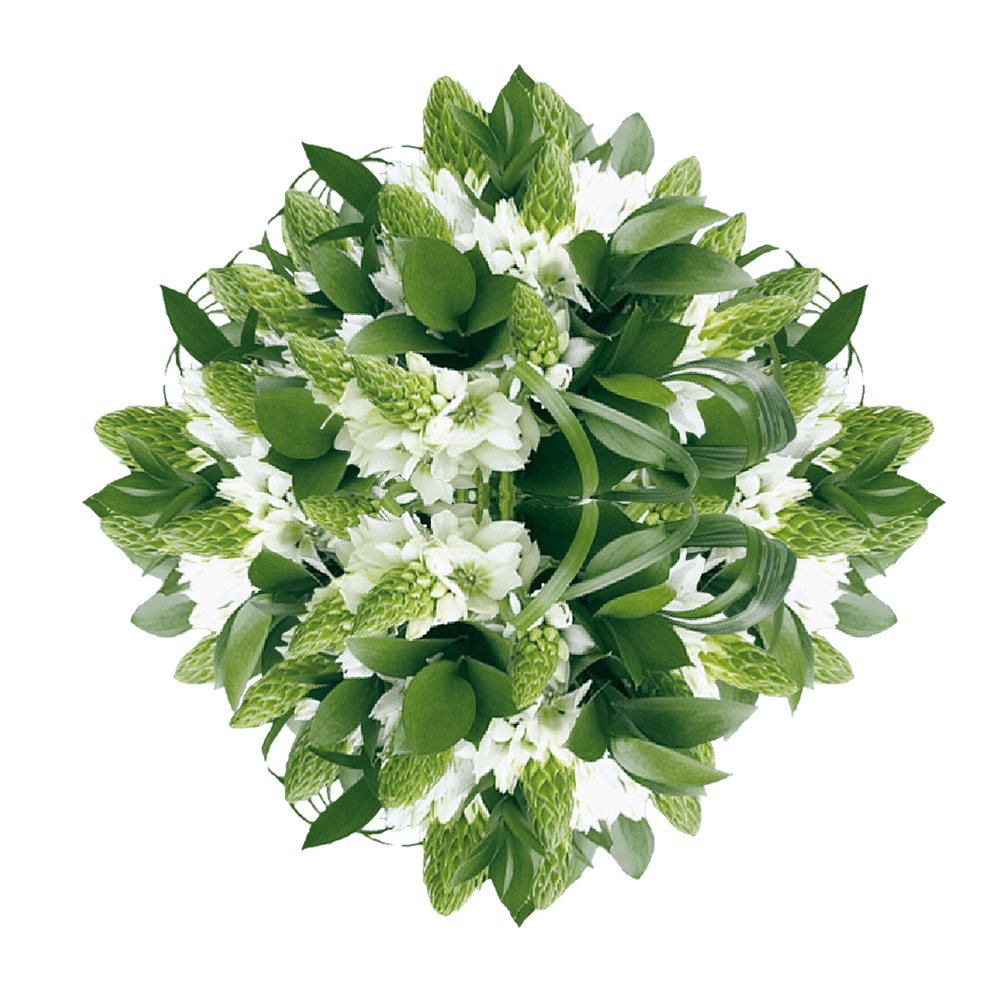 Alstroemerias