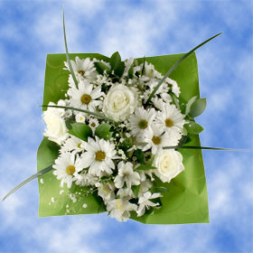 What are the best flowers for the winter holidays?
