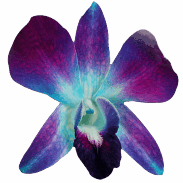 Which flower types and colors best express passion?