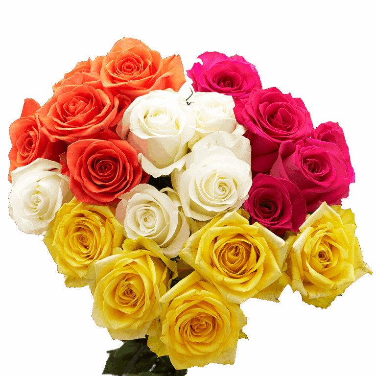 What flowers to give on valentine's day?
