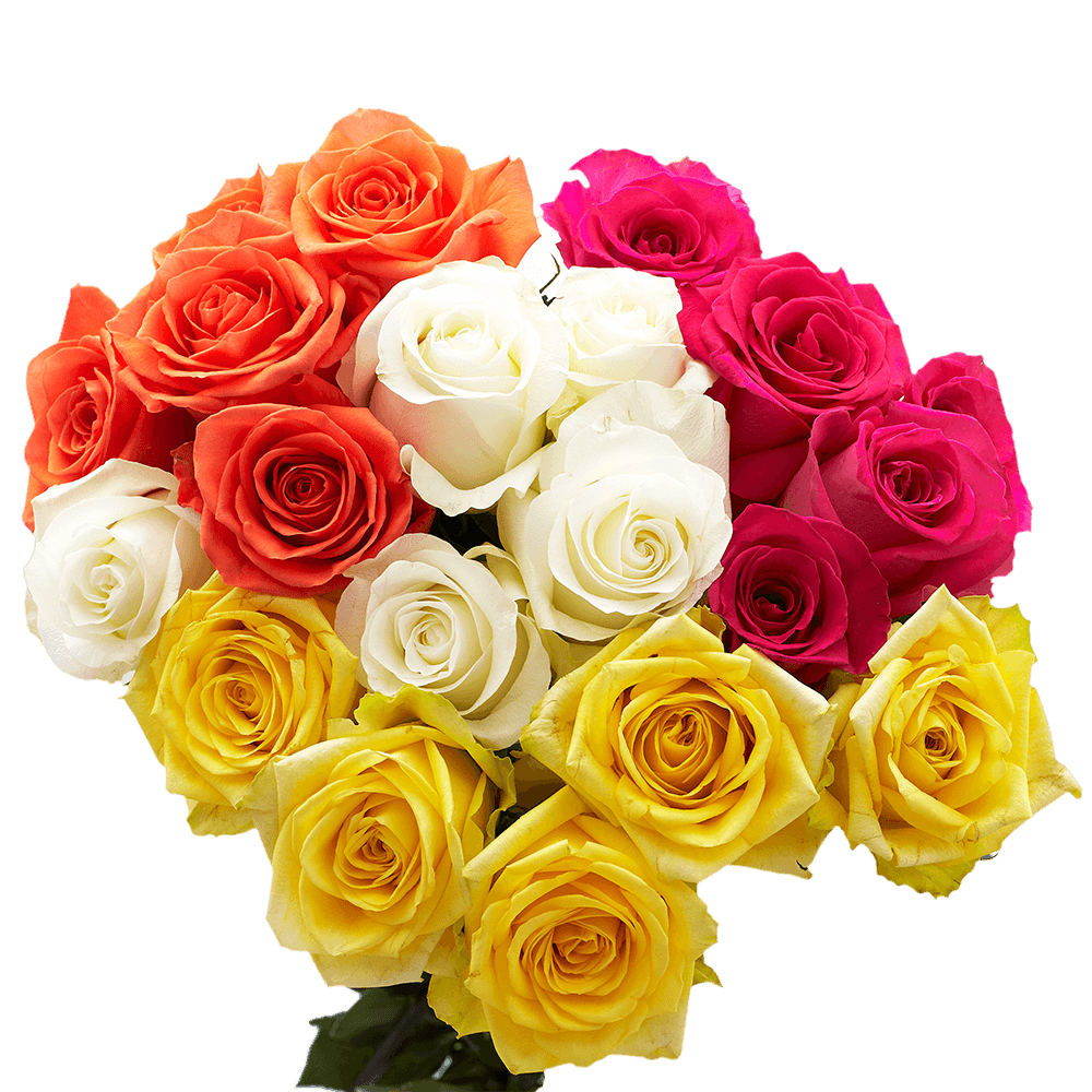 What flowers to give on Valentine's Day?