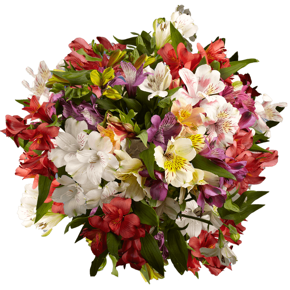 THE TRIED & TRUE ABOUT GIVING FAMILY FLOWERS ON VALENTINE'S