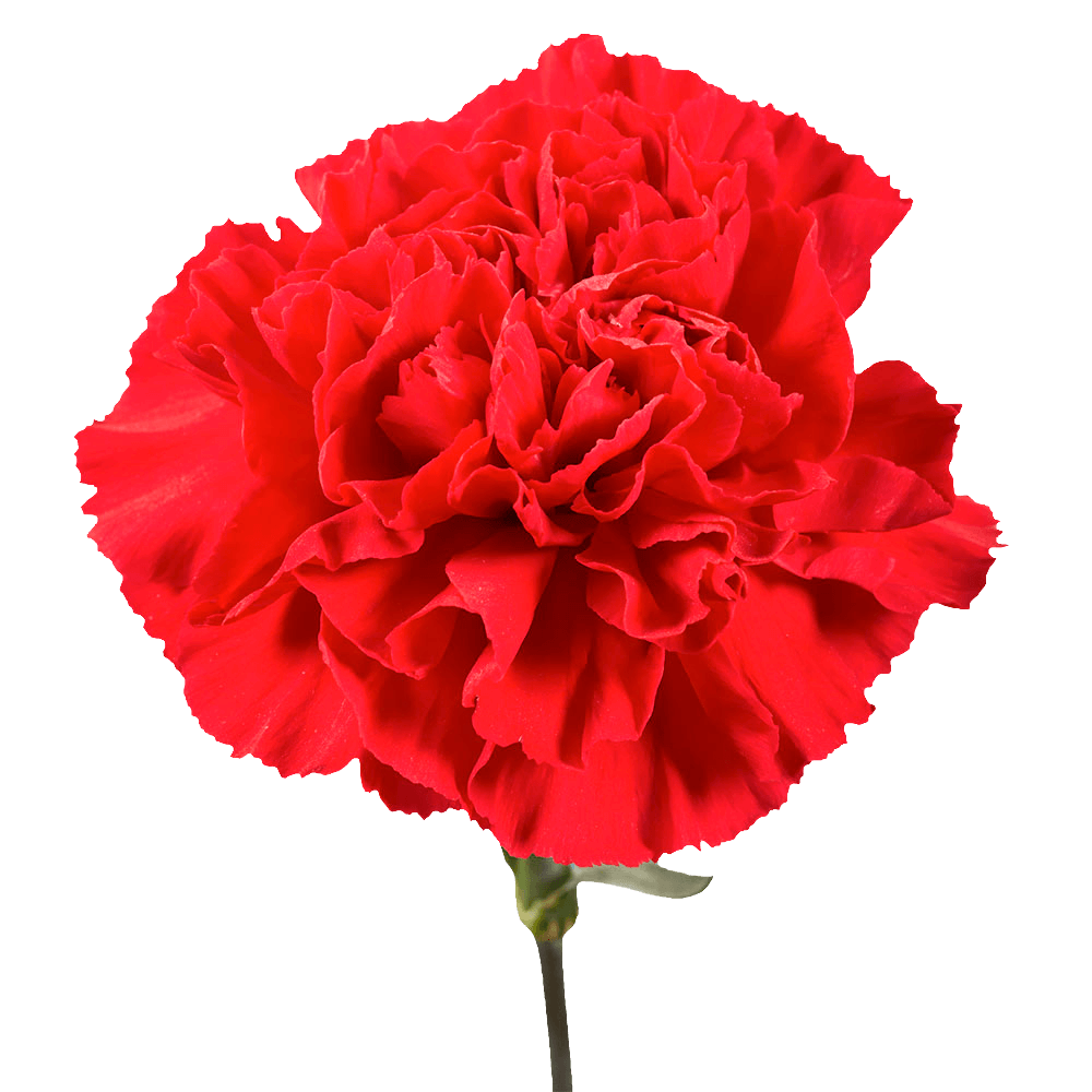 What are the origins of Valentine’s Day?