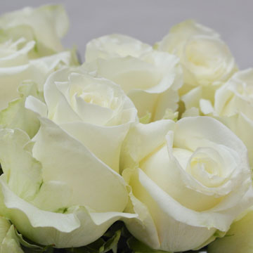 The Tried & True About Roses as Wedding Flowers